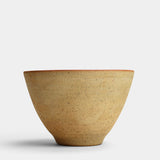Everyday big bowl