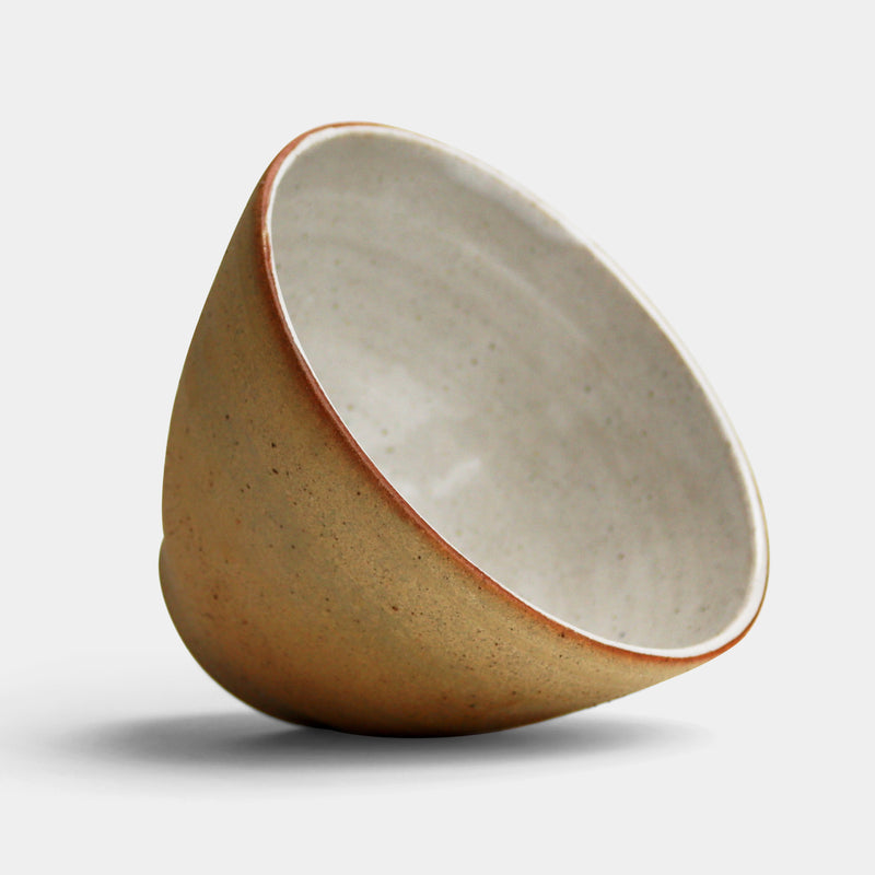 Everyday big bowl