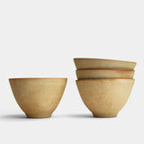 Everyday big bowl