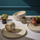 Everyday dinner plate in speckled white
