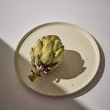 Everyday dinner plate in speckled white