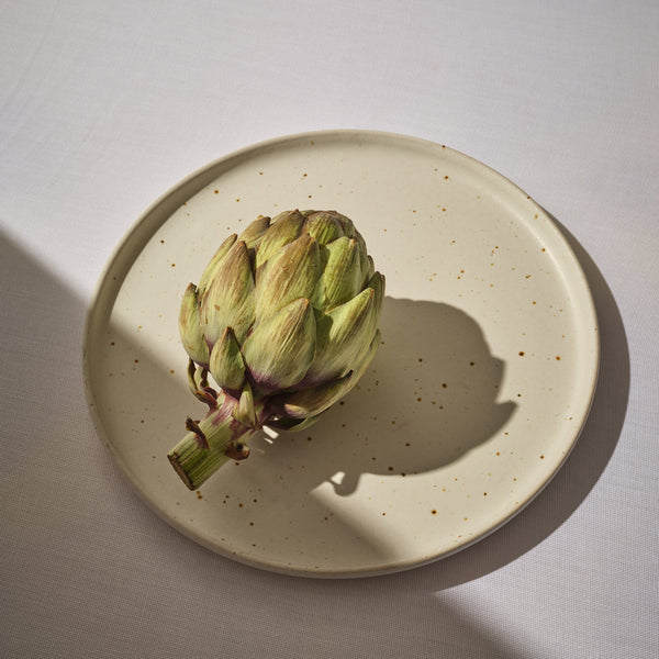 Everyday dinner plate in speckled white