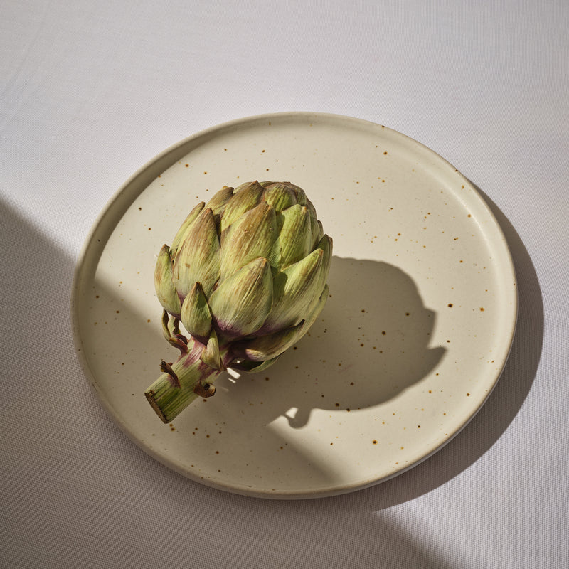 Everyday dinner plate in speckled white