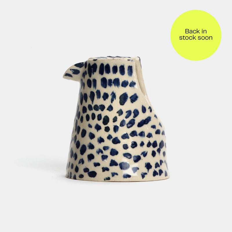 Spotty jug