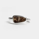 Dendritic agate freeform ring