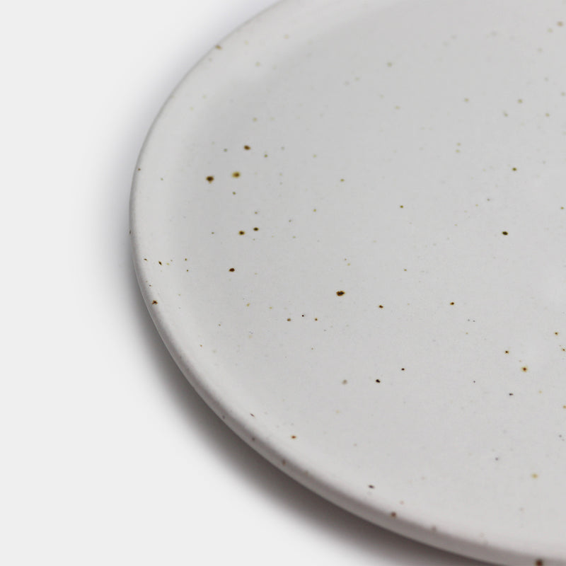 Everyday dinner plate in speckled white